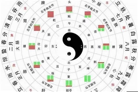 天狗 八字|八字天狗如何看？